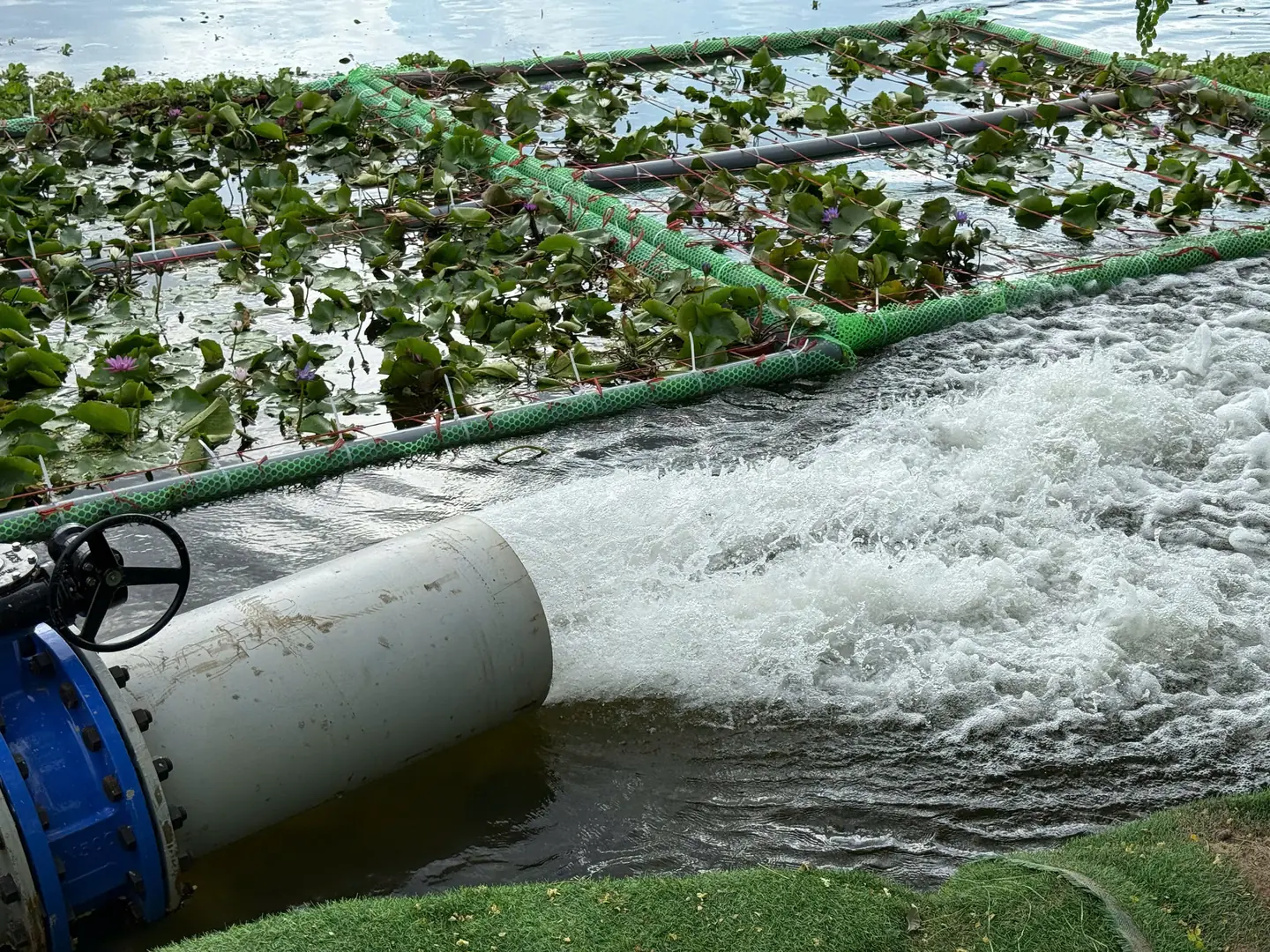 Đài PTTH Hà Nội